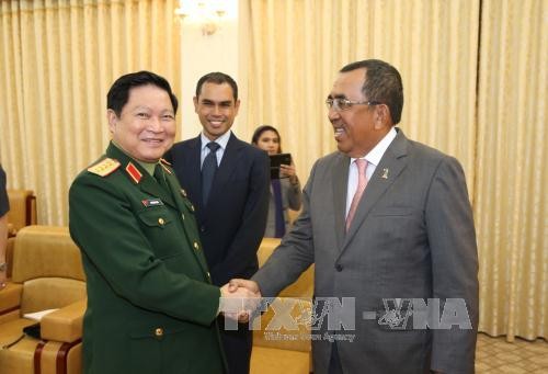 Thứ trưởng Bộ Quốc phòng Malaysia thăm Việt Nam - ảnh 1