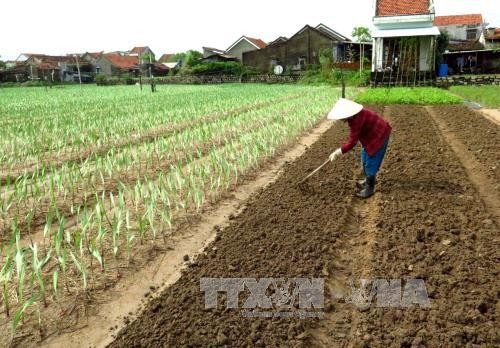 Chủ tịch Tổng Liên đoàn lao động Việt Nam thăm, tặng quà đồng bào vùng lũ tỉnh Phú Yên - ảnh 1