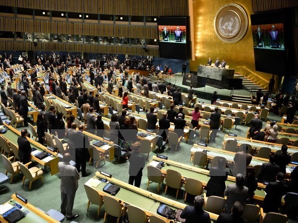 Vietnam attends meeting of UN Human Rights Council - ảnh 1