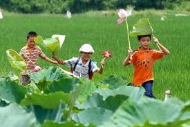 Tiếp tục triển lãm quảng bá hình ảnh Việt Nam tại Ba Lan - ảnh 1
