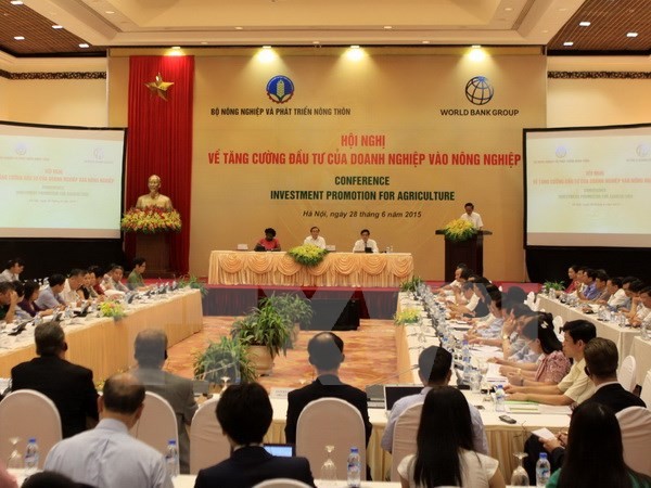 Chính phủ tạo mọi điều kiện thuận lợi để thu hút đầu tư vào nông nghiệp - ảnh 1