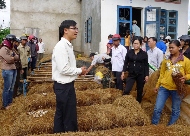 ActionAid Việt Nam hỗ trợ người nghèo xây dựng mô hình sinh kế bền vững - ảnh 1