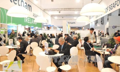 Phái đoàn kinh tế vùng Flanders-Bruxelles (Bỉ) tìm kiếm cơ hội hợp tác đầu tư tại Việt Nam - ảnh 1