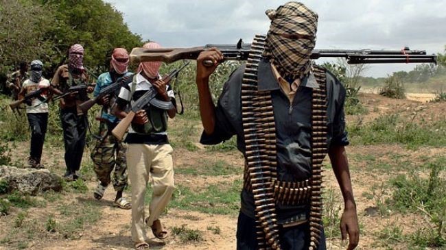 Niger kills 12 Boko Haram gunmen - ảnh 1
