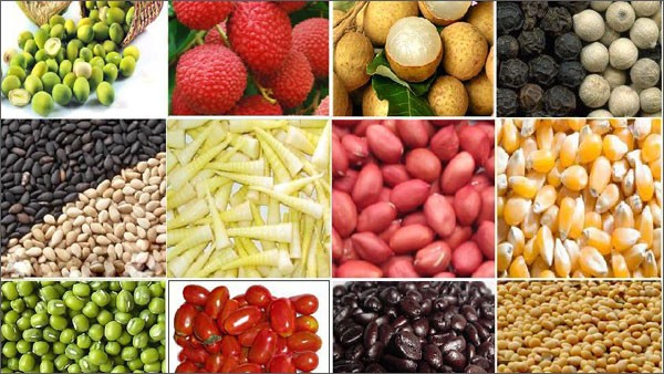 ตลาดการส่งออกผลิตภัณฑ์การเกษตรในปี๒๐๑๖มีสัญญาณที่น่ายินดี - ảnh 1