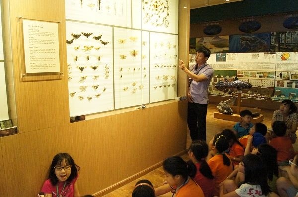กิจกรรมค้นคว้าธรรมชาติในพิพิธภัณฑ์ธรรมชาติวิทยาเวียดนาม - ảnh 1