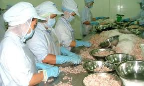 Den Export in die Niederlande verstärken - ảnh 1