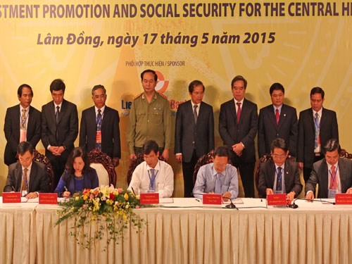 Investitionsmöglichkeiten im Hochland Tay Nguyen - ảnh 1
