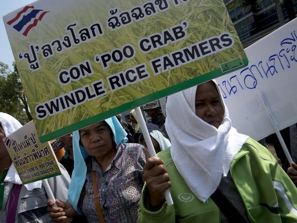 ชาวนาไทยกว่า 1 พันคนเดินทางเข้ากรุงเทพฯเพื่อเข้าร่วมการชุมนุม - ảnh 1