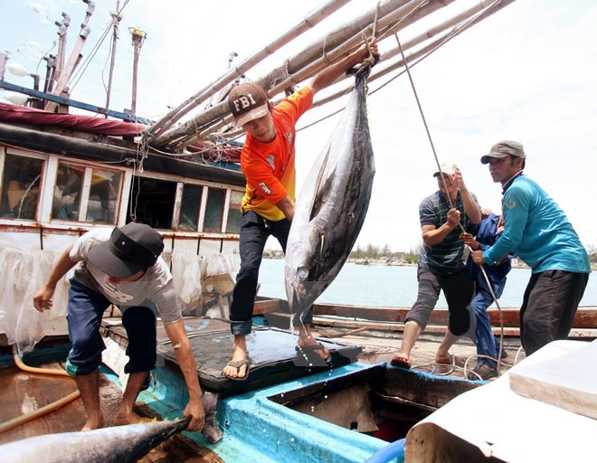 เวียดนามเข้าร่วมการประชุมสุดยอดสัตว์น้ำเอเชียตะวันออกเฉียงใต้และแปซิฟิก - ảnh 1