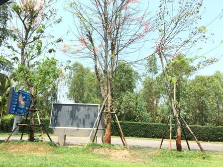 อนุสรณ์สถานบ้านดงโฮจิมินห์ จังหวัดพิจิตร - ảnh 1