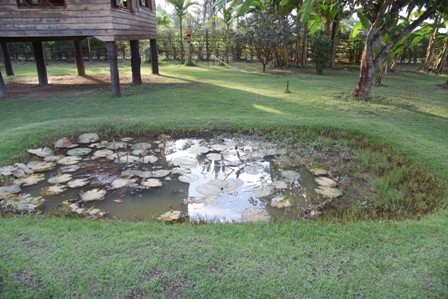 อนุสรณ์สถานบ้านดงโฮจิมินห์ จังหวัดพิจิตร - ảnh 12