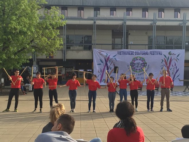 В Канбере состоялся Фестиваль вьетнамской культуры - ảnh 1