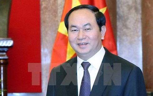 Чан Дай Куанг: АТЭС 2017 подтверждает роль и позиции Вьетнама на мировой арене - ảnh 1