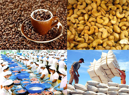 Les exportations de produits agricoles et aquatiques atteignent 26 milliards de dollars - ảnh 1