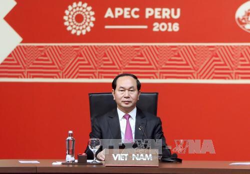 Tran Dai Quang à la clôture du 24ème sommet de l’APEC - ảnh 1
