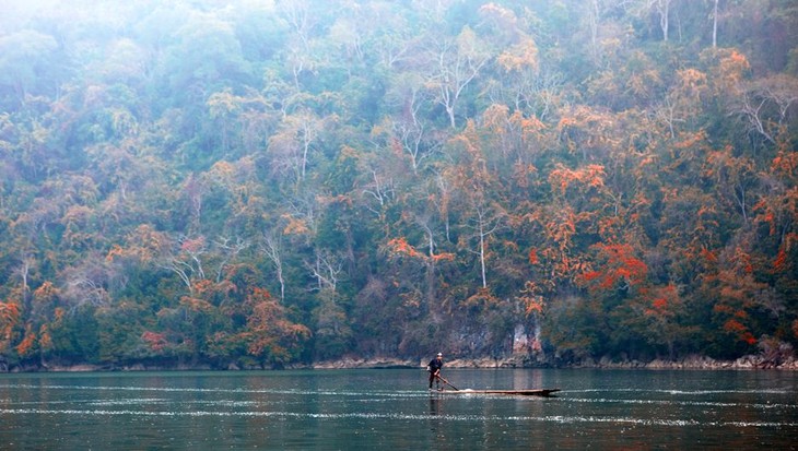 Ba Be-le plus grand lac naturel du Vietnam - ảnh 3