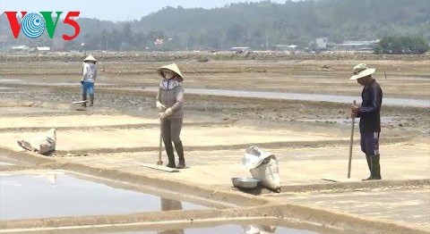 Sa Huynh, un village qui ne manque pas de sel… - ảnh 2