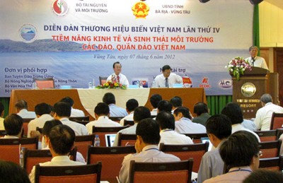 វេទិកាសេដ្ឋកិច្ចសមុទ្រវៀតណាម - ảnh 1