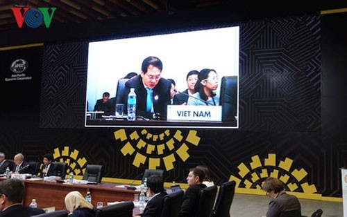 ចូលរួម APEC នៅប៉ែរូ៖វៀតណាមត្រៀមរៀបចំអោយ APEC ២០១៧ - ảnh 1