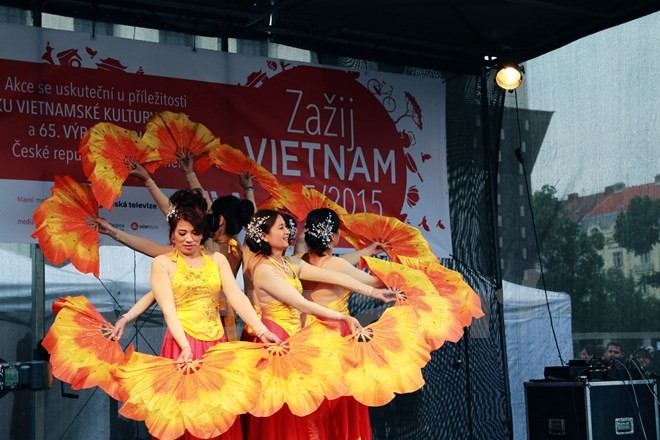 Lễ hội