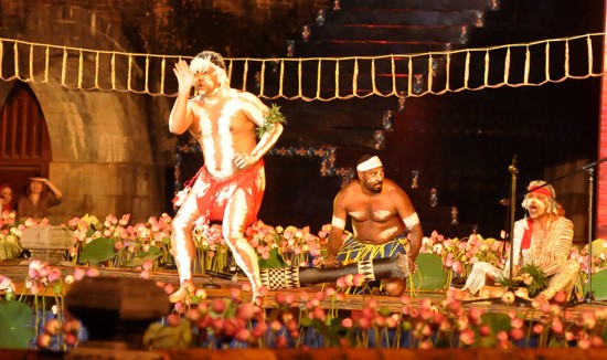 Ouverture du Festival de Hue 2012 : une soirée culturelle splendide - ảnh 11