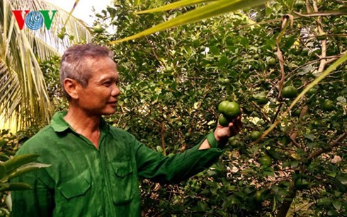 Thach Em - un paysan et un cadre exemplaires - ảnh 1