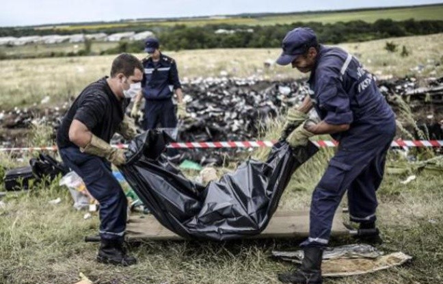 Pays-Bas: de nouveaux restes de victimes du MH17 ont été retrouvés - ảnh 1