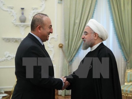 Le chef de la diplomatie turque arrive en Iran pour renforcer la coopération - ảnh 1
