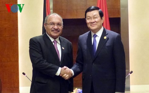 Staatspräsident Truong Tan Sang beendet Teilnahme am APEC-Gipfel - ảnh 1