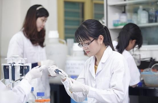 Hochschuldozentinnen engagieren sich für Wissenschaftsforschung - ảnh 1