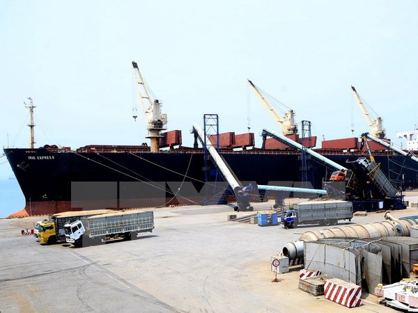 Hạ viện Nga phê chuẩn FTA giữa EAEU và Việt Nam - ảnh 1