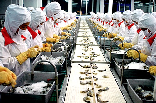 Das Exportvolumen im Bereich Fischerei kann 6,5 Milliarden US-Dollar erreichen - ảnh 1