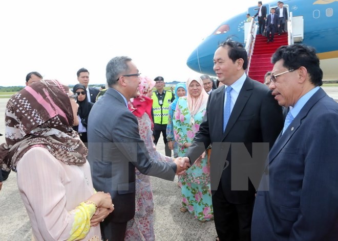 Staatspräsident Tran Dai Quang besucht die vietnamesische Botschaft in Brunei - ảnh 1