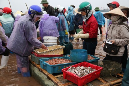 Morgens auf dem Fischmarkt in der Gemeinde Giao Hai in Nam Dinh - ảnh 1