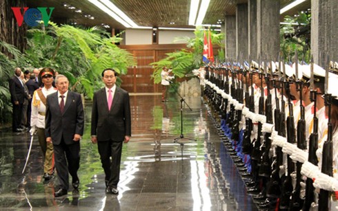 Der kubanische Staatschef empfängt Staatspräsident Tran Dai Quang - ảnh 1