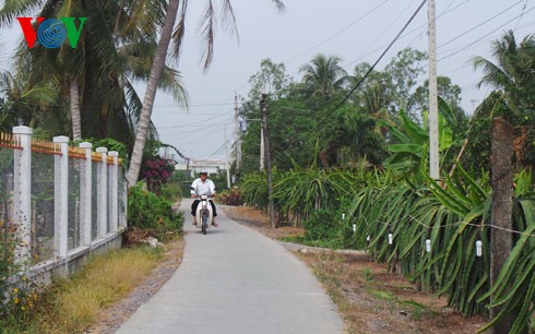 Spring arrives in Long An’s new rural areas - ảnh 2