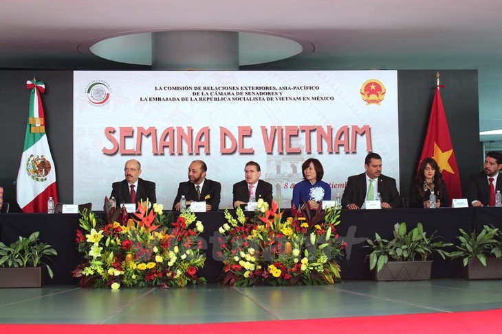 Seminar on Vietnam-Mexico ties held - ảnh 1