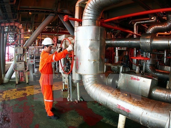 Vietnam, Russia to promote cooperation in oil and gas exploitation - ảnh 1