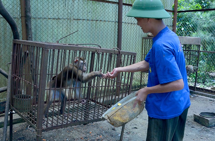 Ba Mun island - a paradise for wild animals - ảnh 3