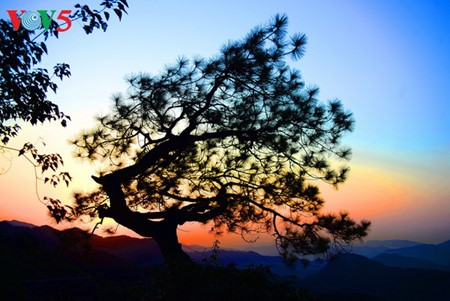 Yen Tu Mountain, a sacred and peaceful Buddhist sanctuary - ảnh 18