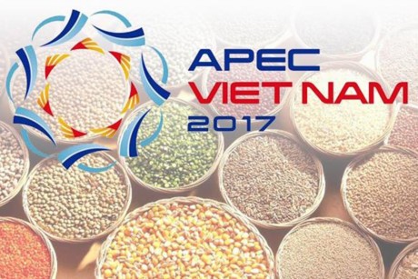 Vietnam sigue con sus prioridades de desarrollo en el Año APEC 2017 - ảnh 1