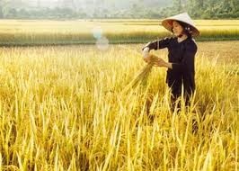ກອງປະຊຸມທີ່ປຶກສາ ບັນດາອົງການ ພົນລະເຮືອນພາກພື້ນອາຊີ ປາຊິຟິກ - ảnh 1