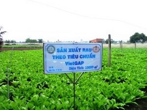ຄັດສະເໜີເນື້ອໃນຈົດໝາຍ ແລະ ຕອບບາງຄຳຖາມທີ່ທ່ານຜູ້ຟັງ - ảnh 1