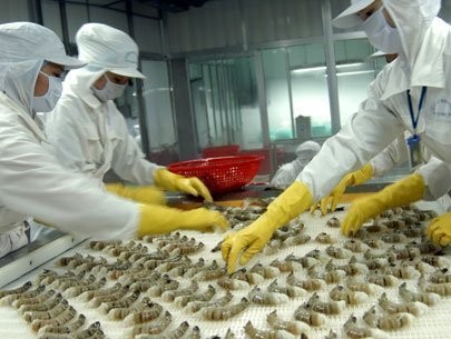 USA verhängen Strafzölle gegen vietnamesische Tiefkühlgarnelen - ảnh 1