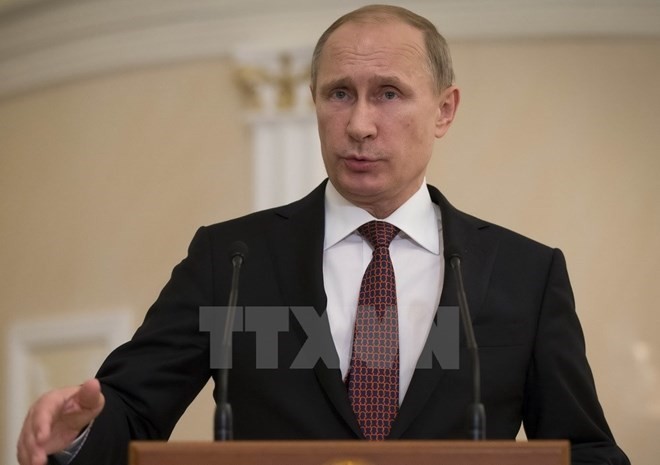 Präsident Putin: Russland wird keine Bodentruppen in Syrien einsetzen - ảnh 1