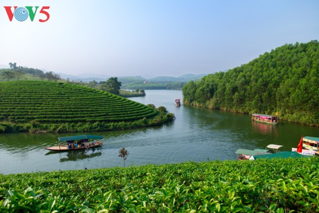 Tee-Insel Thanh Chuong zieht zum Tet-fest Touristen an - ảnh 1