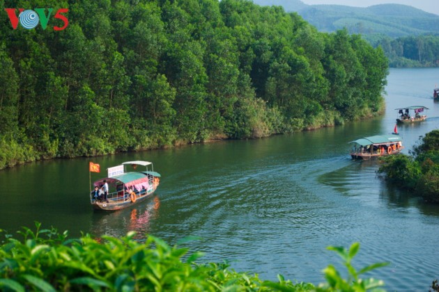 Tee-Insel Thanh Chuong zieht zum Tet-fest Touristen an - ảnh 5