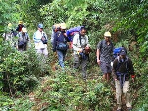 Việt Nam phát triển du lịch có trách nhiệm - ảnh 1