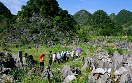 Die ursprüngliche prächtige Schönheit des Kalkplateaus Dong Van - ảnh 1